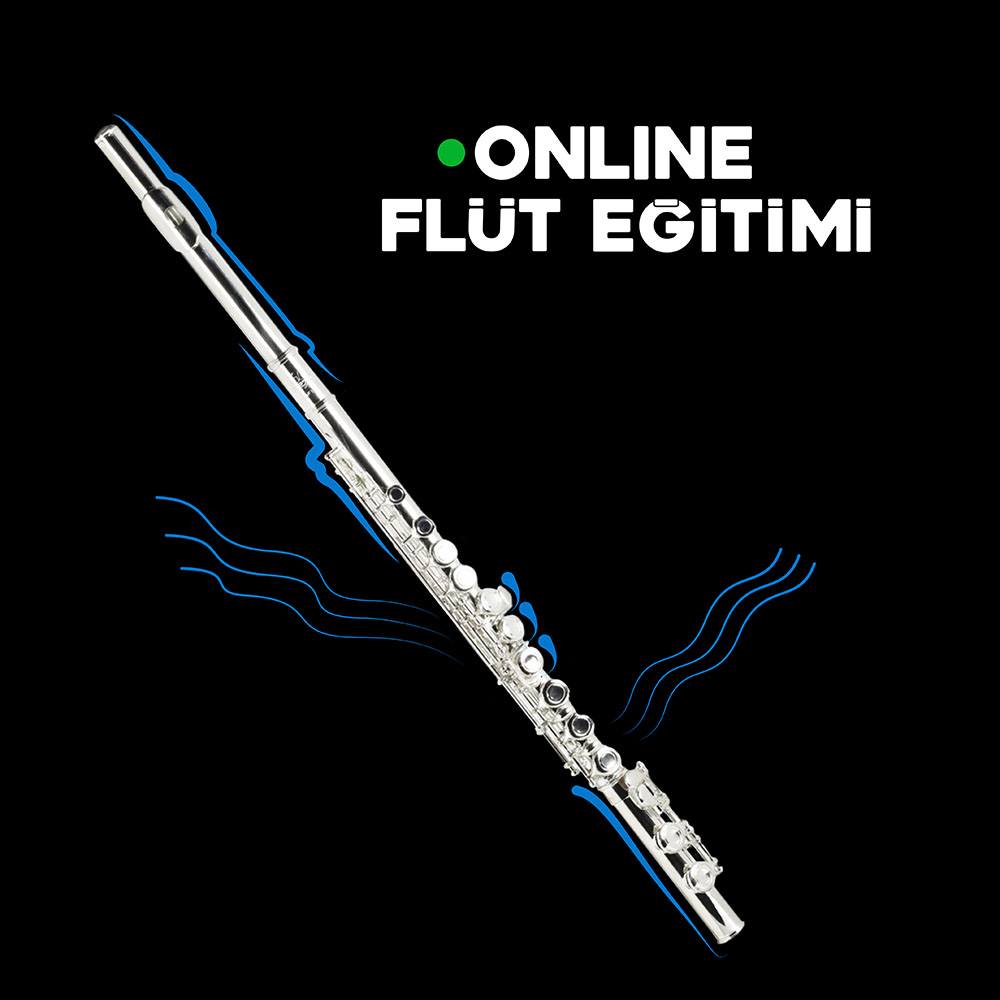 Uzaktan Birebir Online Flüt Eğitimi (1 Aylık 4 Ders Eğitim Paketi)
